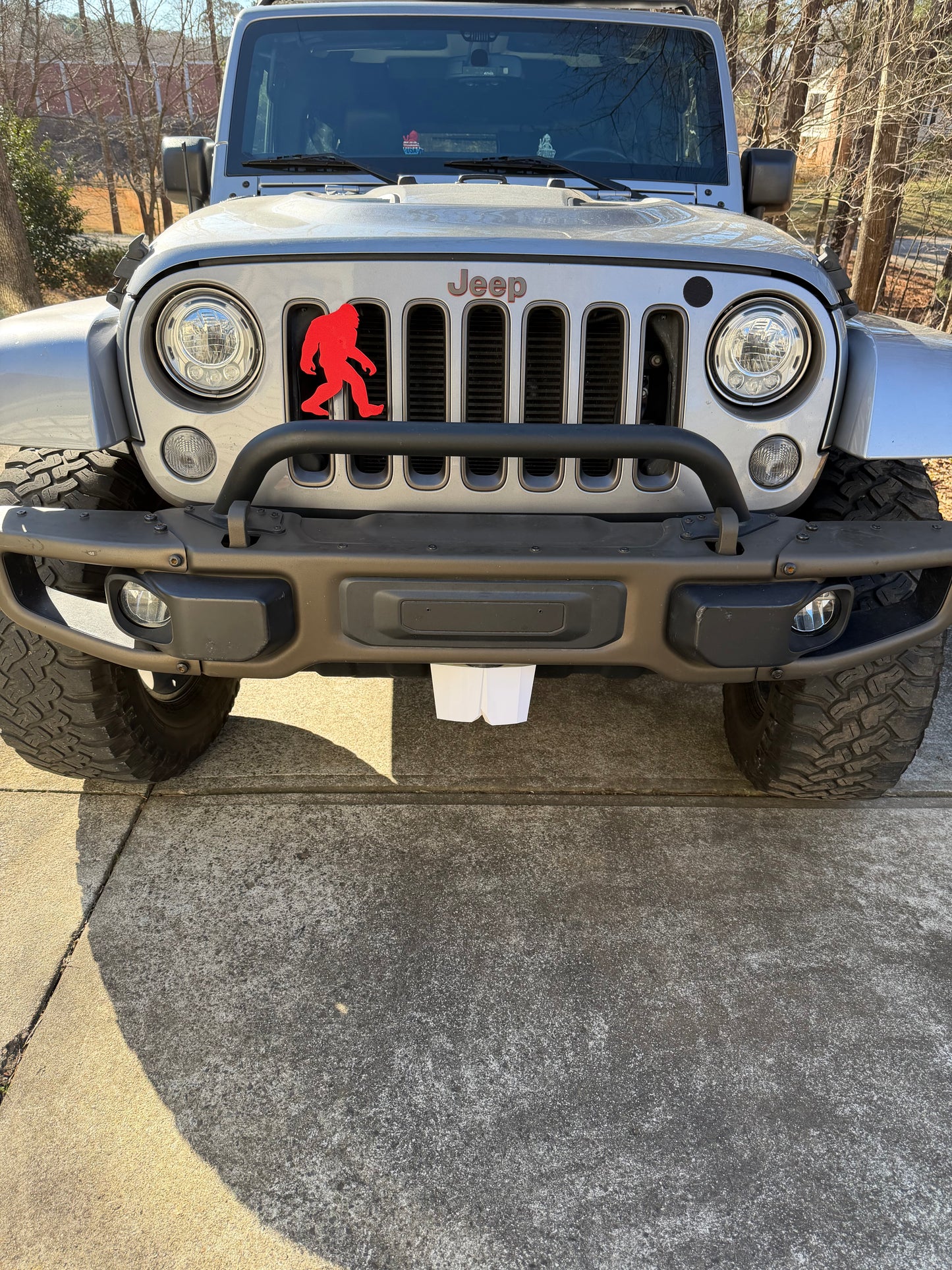 Big Buck Teeth - Magnetic Vehicle Bumper Accessory