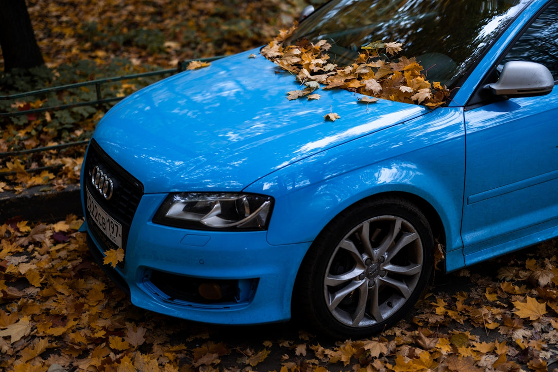 a blue car parked on a leaf covered street