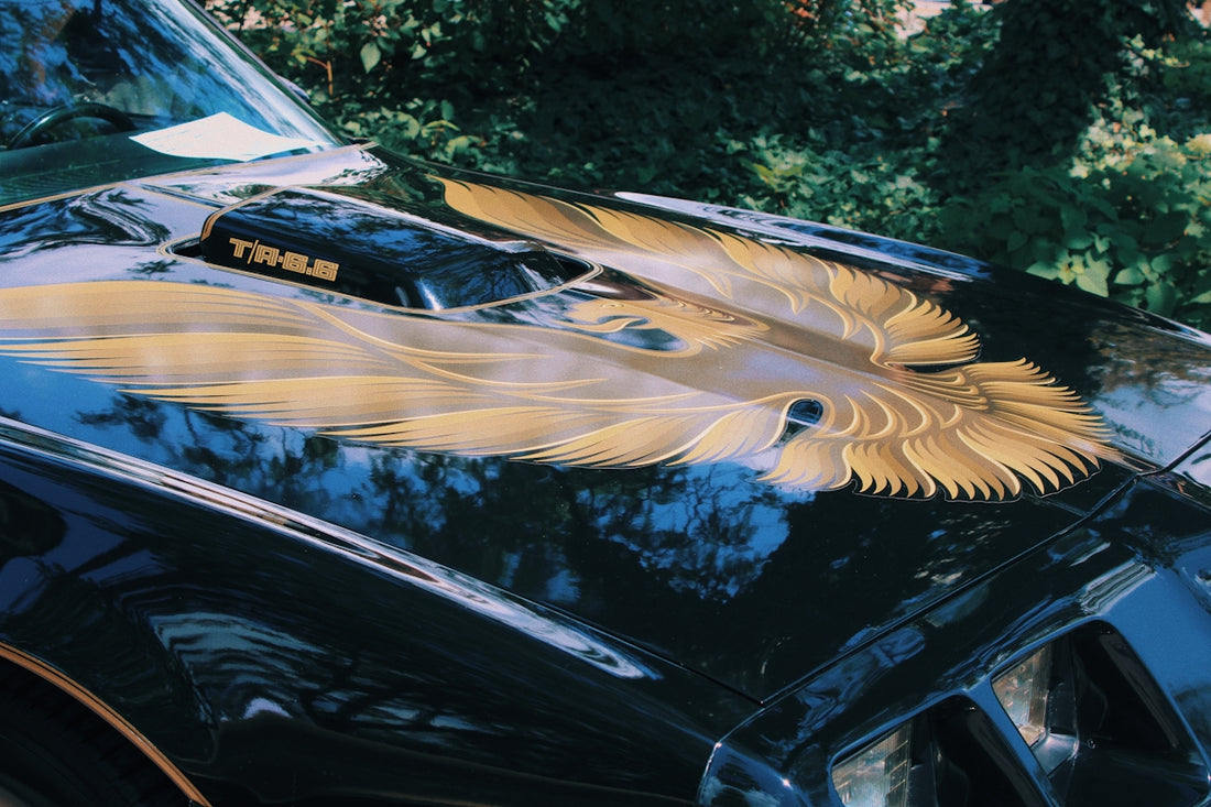 a close up of a car with a bird on it