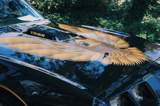 a close up of a car with a bird on it