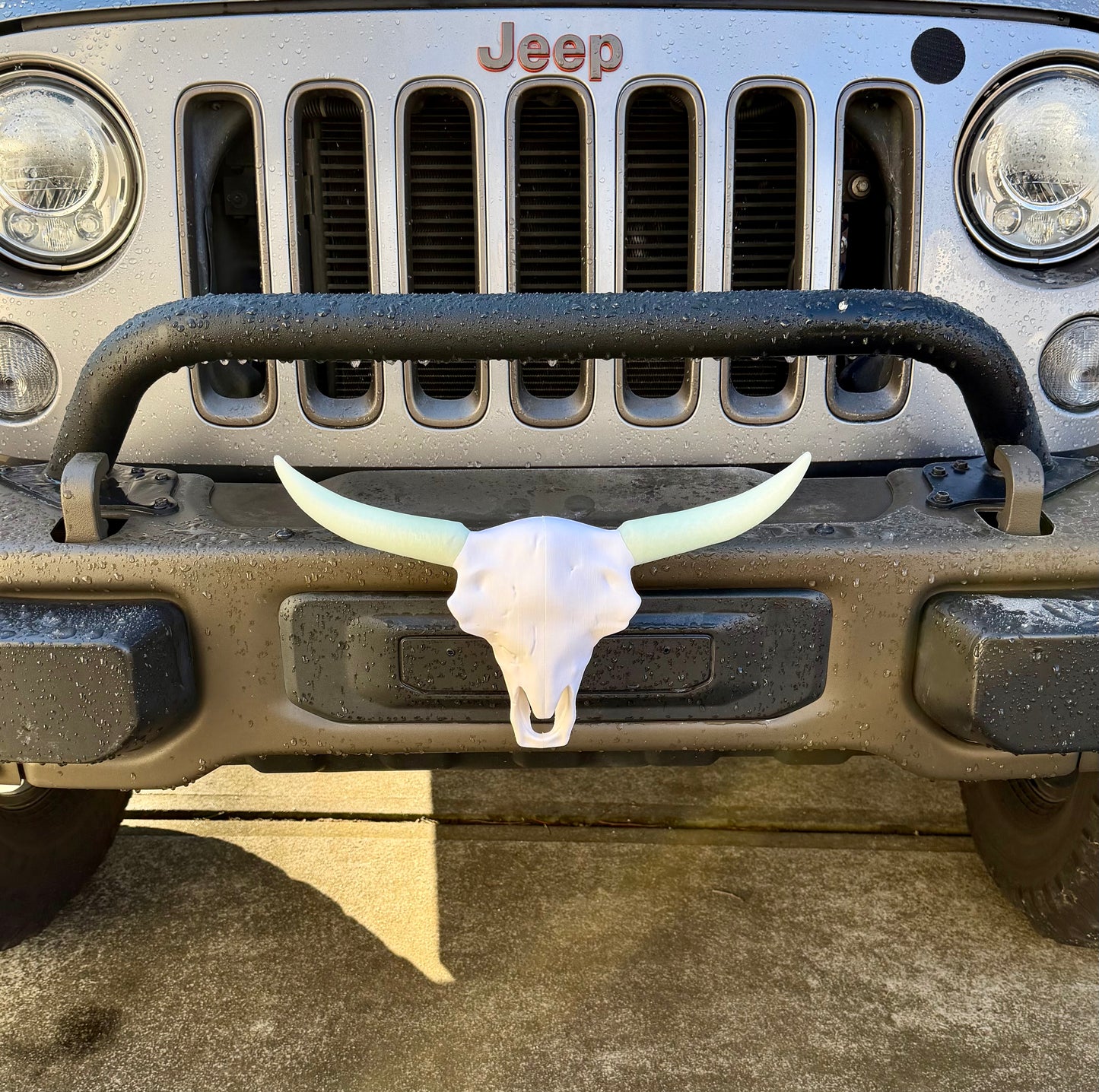 Cow Skull - Magnetic Ride Emblem