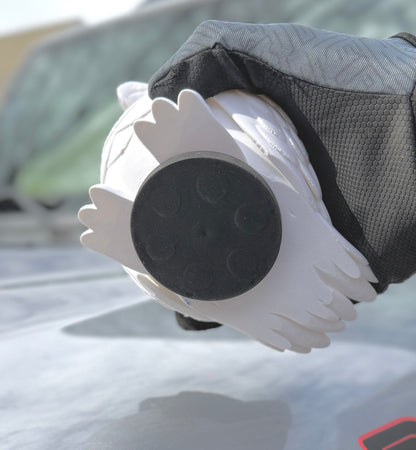 BIG USA Eagle - Magnetic Ride Accessory - Limited Edition