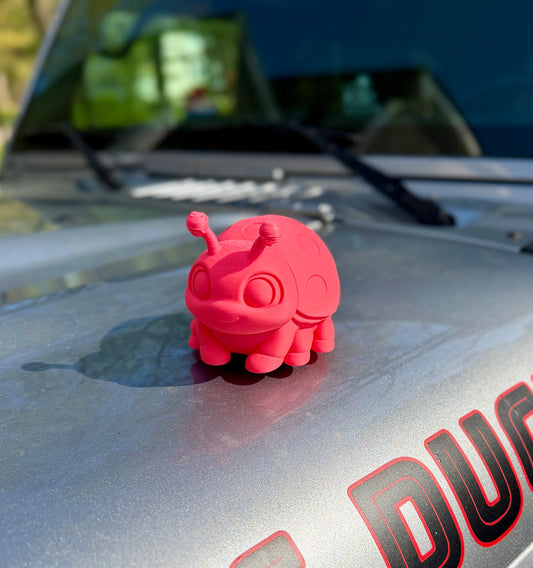BIG Ladybug - Magnetic Ride Accesories