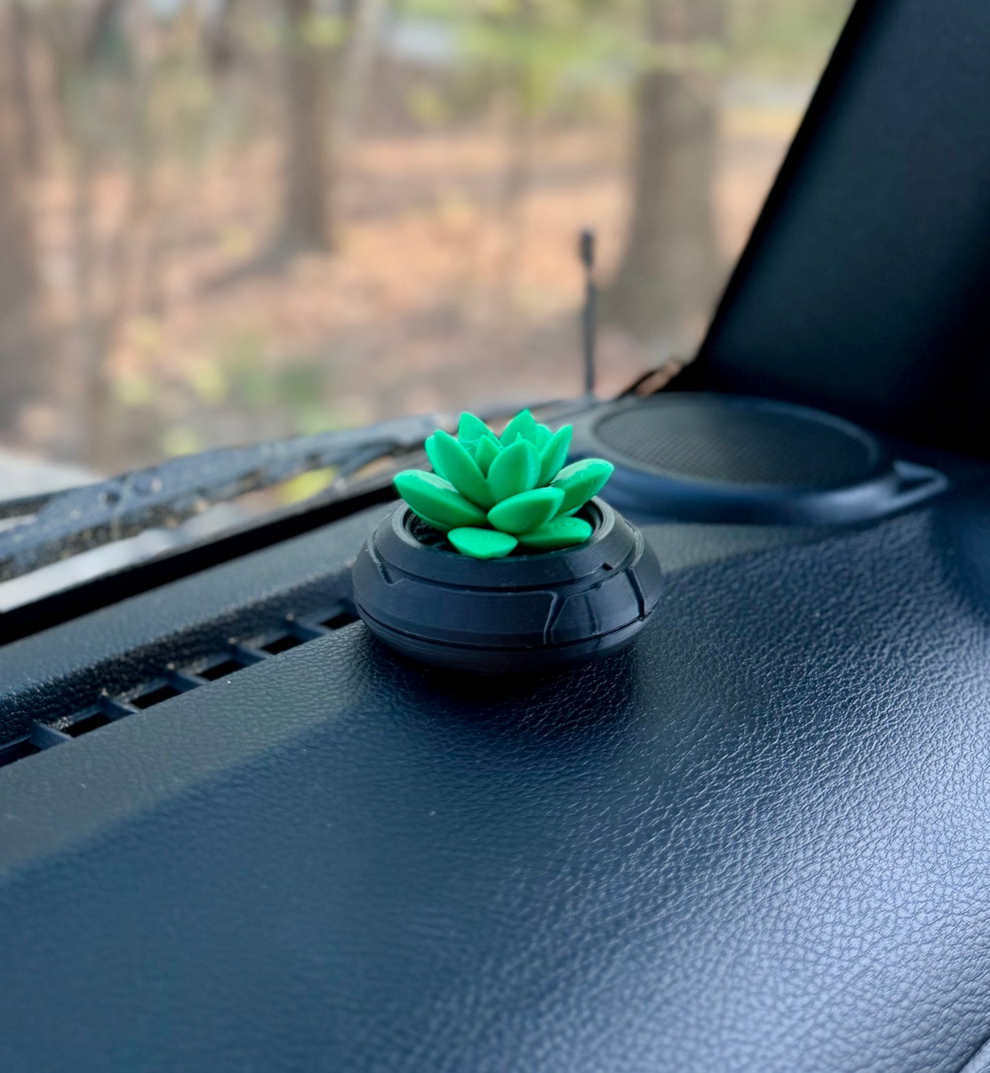 DASH Succulent Plant – Interior Ride Accessory