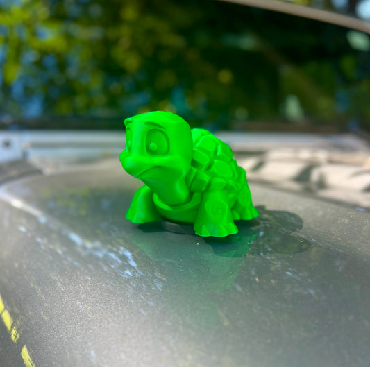 Big TURTLE Magnetic Show Collectible