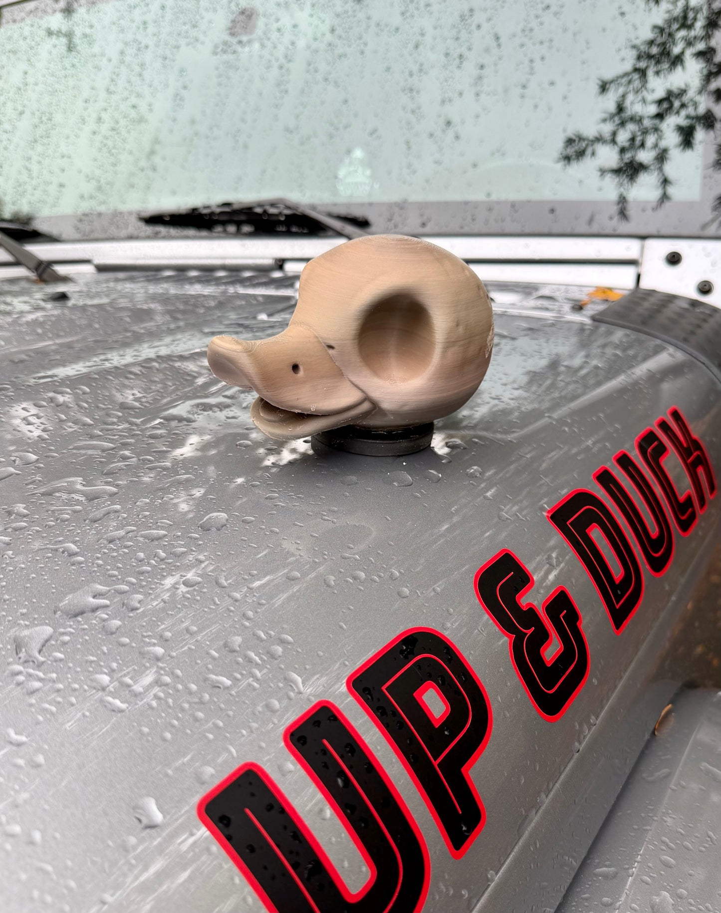 BIG Duck Skull - Magnetic Ride Decor