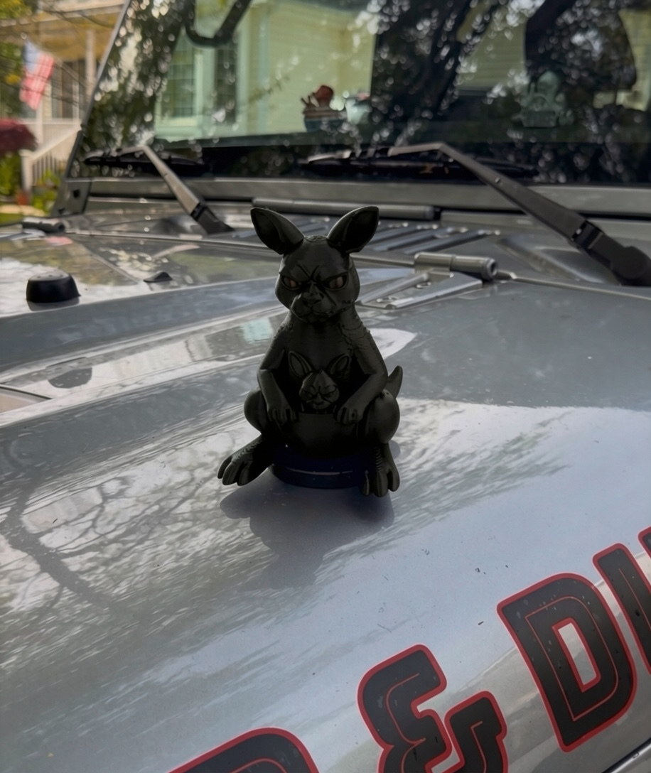 BIG Kangaroo - Magnetic Ride Accessory