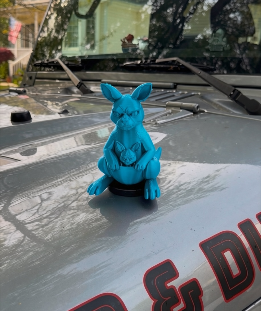 BIG Kangaroo - Magnetic Ride Accessory