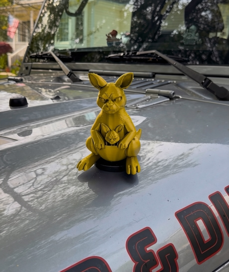 BIG Kangaroo - Magnetic Ride Accessory