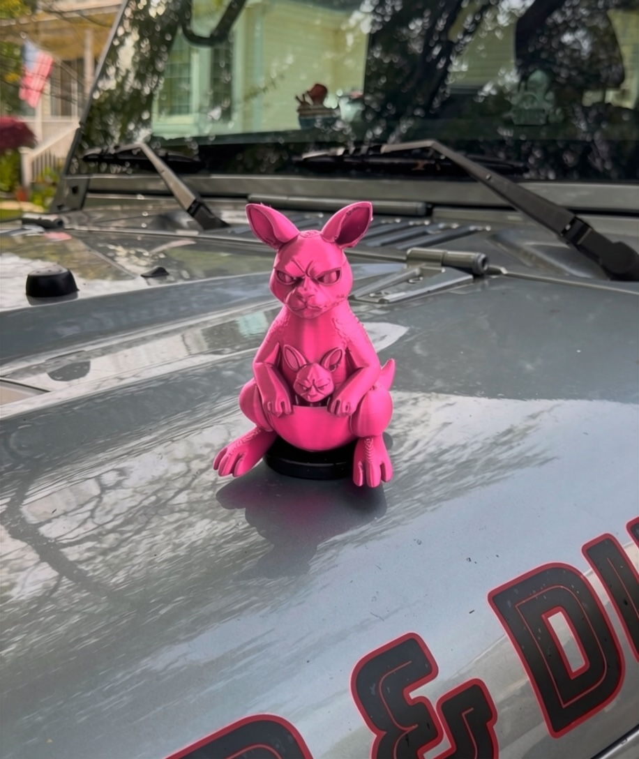BIG Kangaroo - Magnetic Ride Accessory