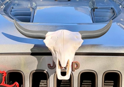 Cow Skull - Magnetic Ride Emblem